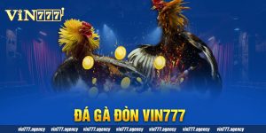 Đá gà đòn VIN777